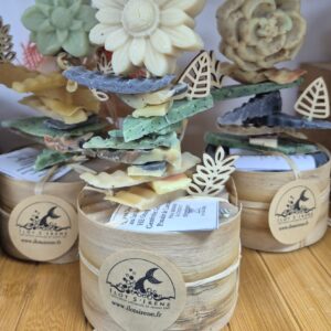 Coffret de 2 gros savons ronds + échantillonnage